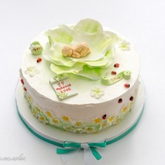 Домашние торты, Photo Cakes, № 18011