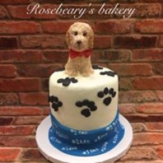 Rosebeary,s Bakery, 어린애 케이크, № 24103