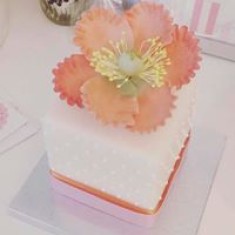 Style your Cake, お祝いのケーキ, № 25059