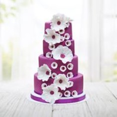 Style your Cake, Torte a tema, № 25075