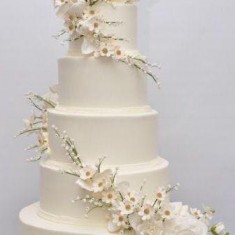 M A Torter, Wedding Cakes, № 32357