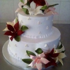 ԷԼՄԻՐԱ ՍՈՒԻԹ ՀԱՈՒԶ, Wedding Cakes