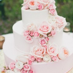 Бискотто, Wedding Cakes, № 2794