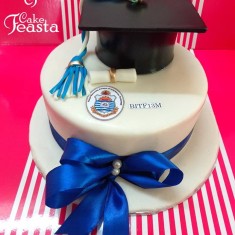 Cake Feasta, Gâteaux à thème, № 34242