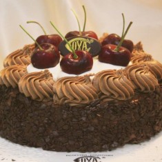  COVA Milano, Fruit Cakes, № 34739