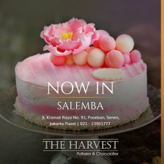 The Harvest, お祝いのケーキ