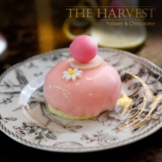 The Harvest, Gâteau au thé, № 35832