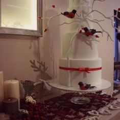 Anare cake, Праздничные торты, № 930