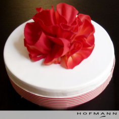  Hofmann , お祝いのケーキ