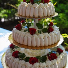 Castelnuovo, Festive Cakes, № 40464