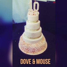  Dove and Mouse, お祝いのケーキ, № 47626