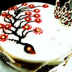  Arasan, お祝いのケーキ