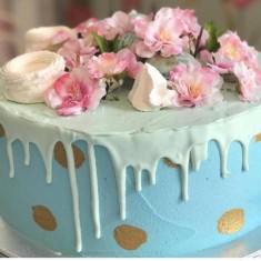 MISS CAKE, Gâteaux de fête, № 50825