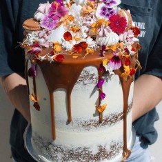 Tome Cake, お祝いのケーキ