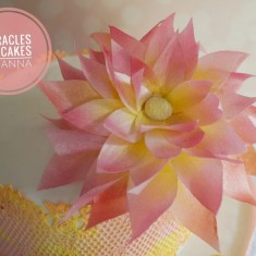 Miracles on Cakes , Gâteaux de fête, № 58614