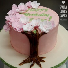 EVITA LOVES , Детские торты, № 63955