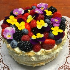 Schmidl , Frutta Torte, № 66955