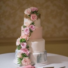 T's Bakeshop, Wedding Cakes, № 74174