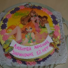 Фанзиля Сунчеляева, Детские торты, № 5415