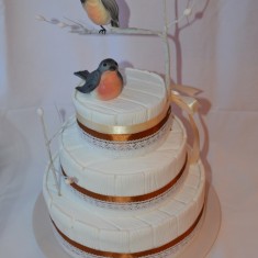 Бурченковых, Wedding Cakes, № 5534
