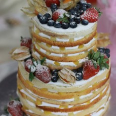 Ласточка кондитерская, Fruit Cakes