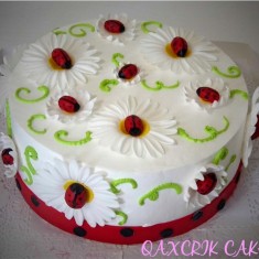 Qaxcrik CAKE, Torte da festa, № 237