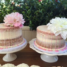 Polkatots Cupcakes, Фото торты