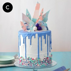  Wilton Cake Decorating, Torte da festa, № 32693
