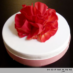  Hofmann , Festive Cakes