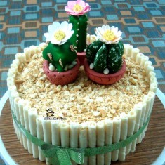 Rekha's Cake , 축제 케이크