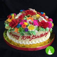 Nikon Cakes, Torte da festa
