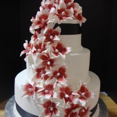 Fratelli's Pastry , Wedding Cakes, № 91279