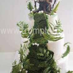 Tromplei, Wedding Cakes, № 9671